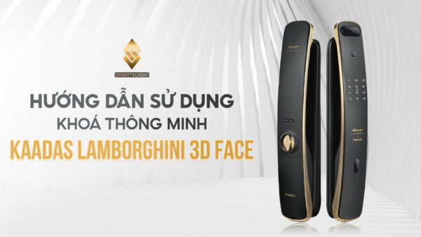 Lamborghini 3d Face