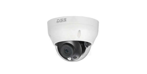 Dss H.265 Dahua Ds2431rdip S2