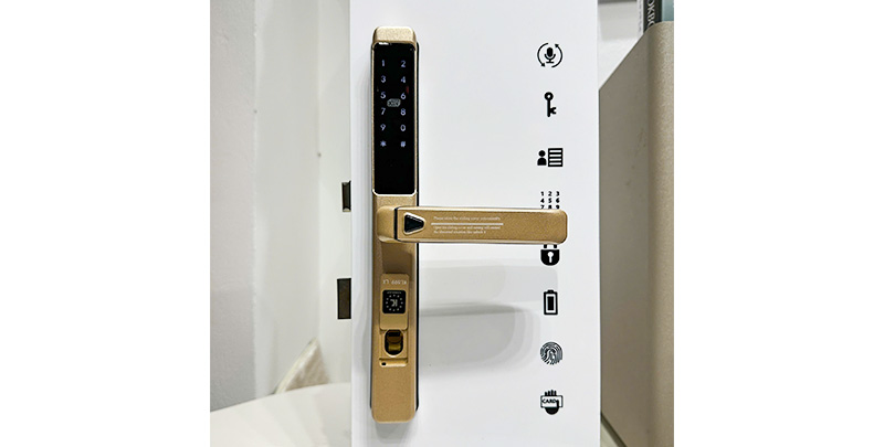 Kassler Kl 599 Lx (2)