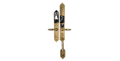 Hy Slc8818 Gold