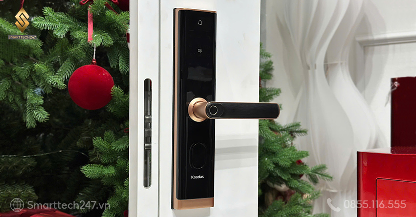 Khoa Van Tay Nha Trang (5)