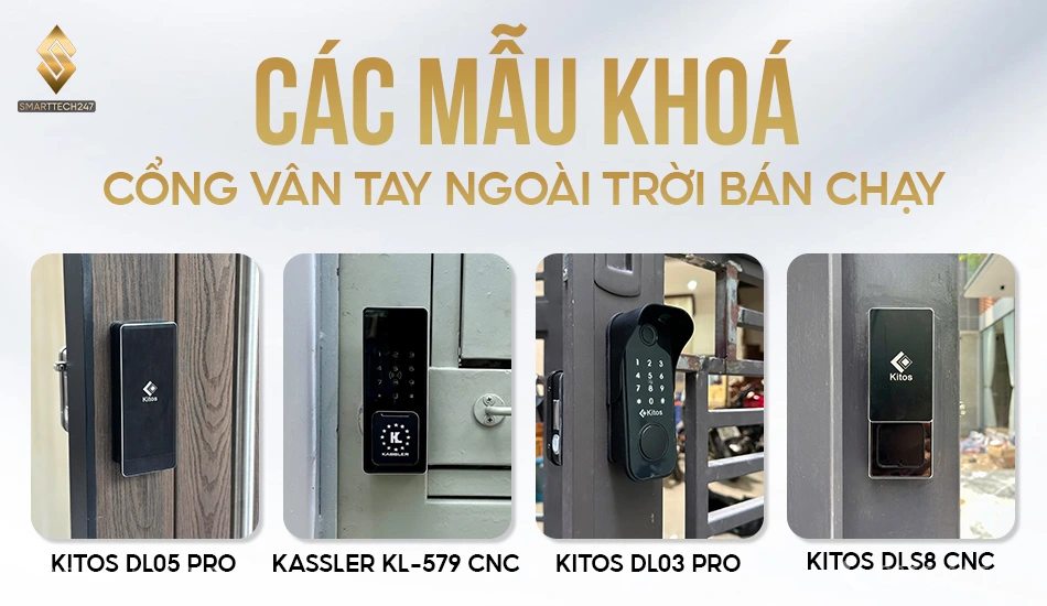 Tổng hợp bán chạy: Bền bỉ & Hiện đại. Tổng hợp bán chạy: Bền bỉ & Hiện đại.