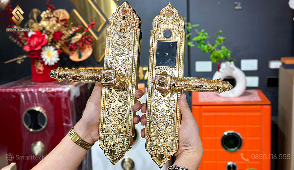 Khoa Cua Van Tay Hcm