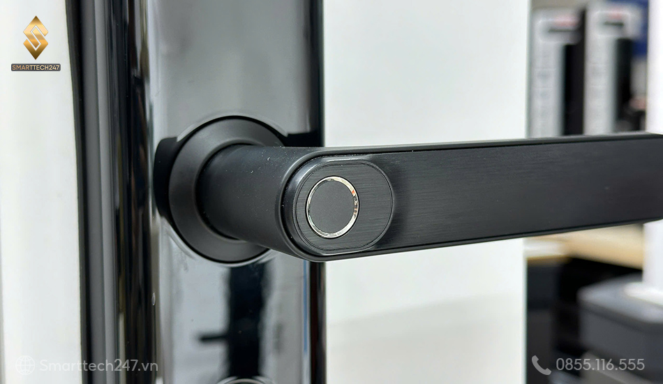 Khoa Cua Van Tay Vung Tau (3)