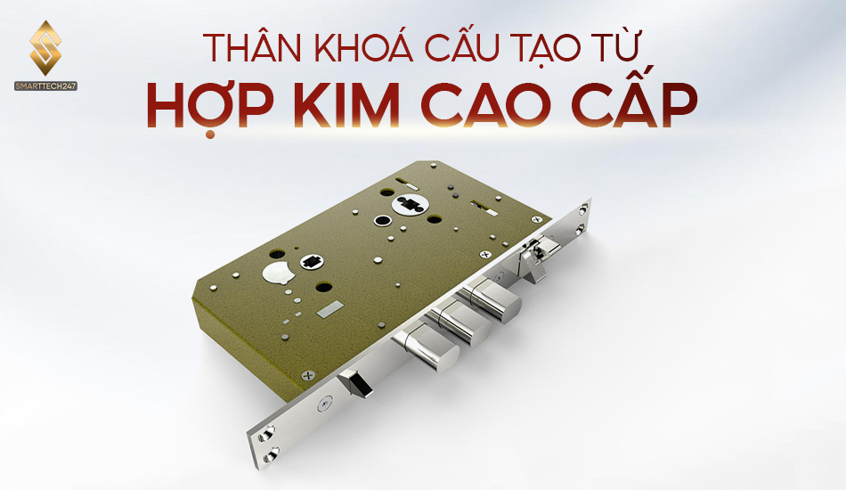 Cau Tao Khoa Cua Tay Gat (5)