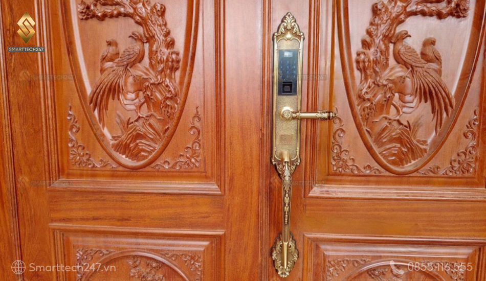 Khoa Cua Chinh Thong Minh (8)