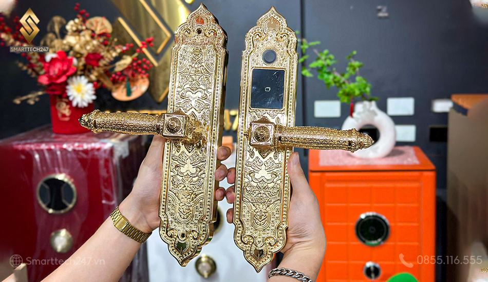 Khoa Dai Sanh Tan Co Dien 11