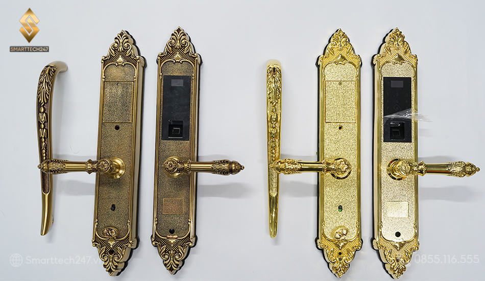 Khoa Dai Sanh Tan Co Dien 1245