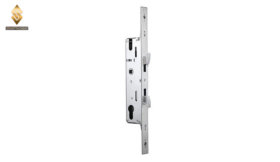 Khoa Van Tay Cua Lua 1