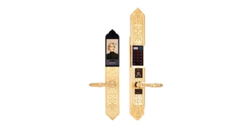 Khoa Cua Tan Co Dien Nhan Dien Khuon Mat Demax El9882 24k Brass
