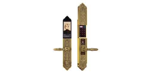 Khoa Cua Tan Co Dien Nhan Dien Khuon Mat Demax El9882 Gb Brass